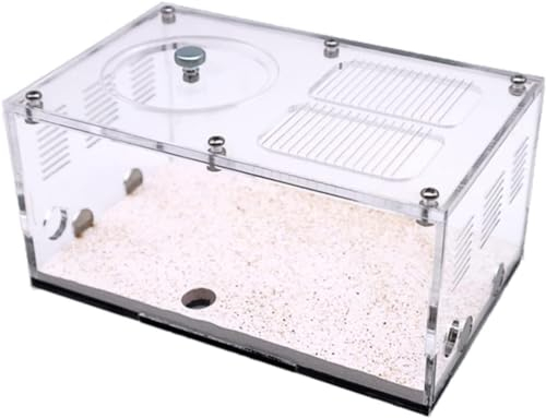 Ameisenfarm aus Acryl, unendliche Erweiterung, Ameisennest, Insektenhaus aus Beton, Brutbereich für Königin, Ameisenhaufen-Set, Zubehör, Ameisenhaufen-Schloss, Ameisenhaus, Aktivitätsbereich