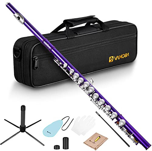 Vangoa Querflöte 16-Klappen-C Geschlossenem,Vernickelt,Violett, Flöte mit Koffer und Flötenständer für Anfänger Erwachsener Musikinstrumente Akkurater Intonation