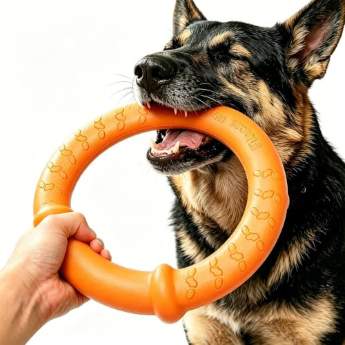 LaRoo Hundespielzeug Hunde Frisbee Hundefitness Ring - Unzerstörbare Flugscheibe Extra Dick - Schwimmendes Hundespielzeug für Outdoor, Training, Sommeraktivitäten für Große Hunde (Orange)