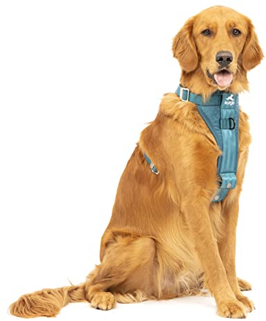Kurgo Tru-Fit Harnais de sécurité pour Voiture pour Chiens, avec Plastron rembourré et Anneau en D, avec Ceinture de sécurité pour Voiture, Taille L, Bleu Encre