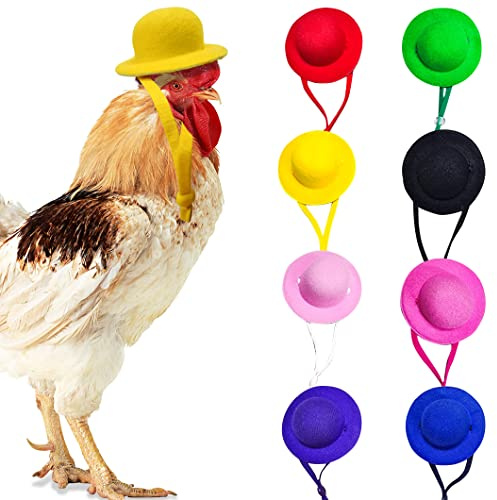 Rolin Roly 8PCS Cappelli di Pollo per Gallina Mini Cappello da Bambola Animali Domestici Casco con Cinturino Elastico Regolabile Accessori Per Fai Da Te Uccelli Lucertole (8Pcs Hats)