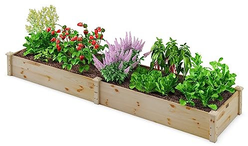 RELAX4LIFE Carré Potager en Bois de Sapin sans Fond, Jardinière Rectrangulaire Imperméable pour Légumes Fleurs Fruits, Bac à Plantes pour Cour Jardin Pelouse, 240X60X25 CM