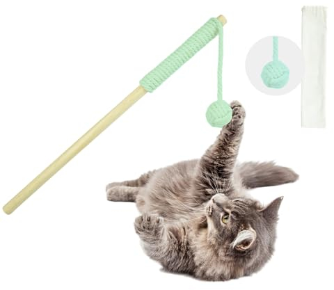 Petriumph® Katzenspielzeug Angel | Katzenspielzeug Interaktiv | Katzenspielzeug Selbstbeschäftigung | Katzenangel und Katzen Intelligenzspielzeug in einem | Katzen Beschäftigung (Grün-Blau)