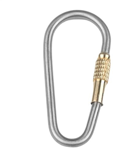 4 Stück Karabinerhaken, Schraubkarabiner, Karabiner Schlüsselanhänger, Titan Schraubverschluss Schlüsselanhänger-Clip, Karabiner Set, Karabiner Haken D-Clip, Carabiner(Silber)