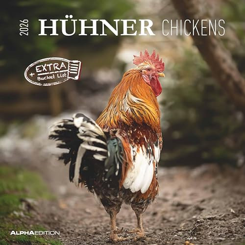 Alpha Edition - Hühner 2026 – Broschürenkalender 30×30 cm (30×60 cm geöffnet) mit Notizbereich, humorvoller Wandkalender mit 12 Hühner-Motiven, Tierkalender & Geschenkidee für Tierfreunde: Chickens