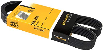 CONTITECH 6PK1000 Keilrippenriemen