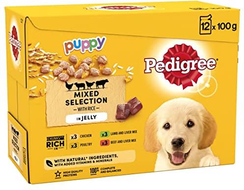Pedigree Junior Wet Dog Food for Young Dogs and Puppies, 12 Pouches (12 x 100 g) - Packaging May Vary