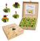 Creano Tea Flowers in Cup Size - Gift Set in Wooden Tea Box - 12 Blooming Teas in cupsize in 4 Varieties, White Tea, Gift For Women, Mother, Tea Lovers - Green Tea