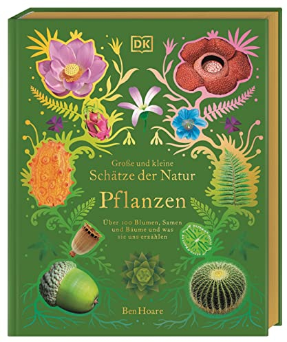 Große und kleine Schätze der Natur. Pflanzen: Über 100 Blumen, Samen und Bäume und was sie uns erzählen. Hochwertig ausgestattet mit Goldfolie und Goldschnitt. Für Kinder ab 8 Jahren