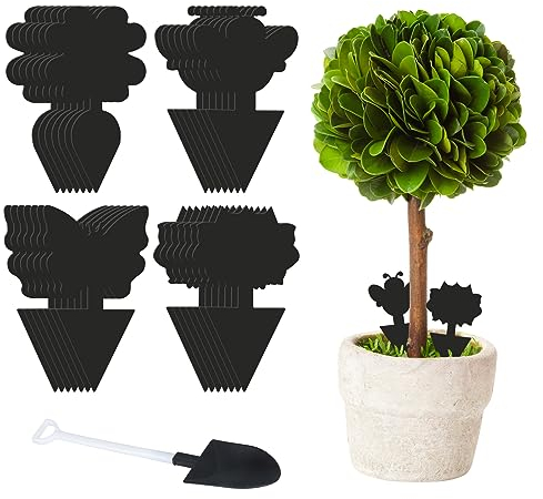 Piège à mouches de fruits