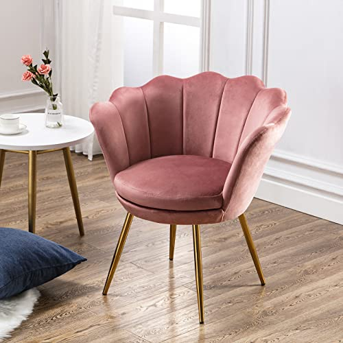 Wahson Fauteuil en Velours Fauteuil Coquillage avec Pieds Doré, Fauteuil Chambre Confortable Chaise Relax pour Salon/Chambre (Rose)