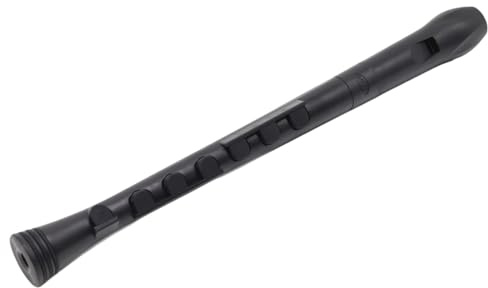 Vuxeninspelare Plastblockflöjt C Dur Bärbart Nybörjarinstrument(Black black)