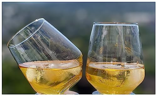 Topkapi McDalford - Set di 2 bicchieri da whisky, per whisky, cocktail, succhi di frutta, acqua, bevande, altezza ~ 10,6 cm, V ~ 420 ml, colore: Trasparente