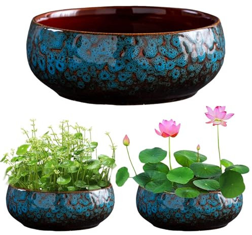 Rubu22a Lotus Flower Pot de fleurs en céramique - Pot de bonsaï hydroponique - Rond - Bol de jardin pour nénuphar lysimachia - Décoration de table de mariage - Bleu
