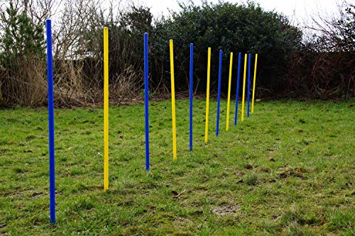Wuzzmann Trading Agility-ÜBUNGS-Slalom-Set BLAU/GELB Flexible, RUNDE STANGEN