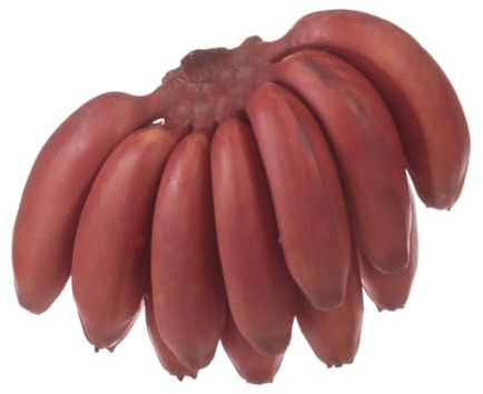 semi di banana Letti elevati per giardino semi biologici spalla di perenni resistenti Decorazione balcone con banane 150pcs