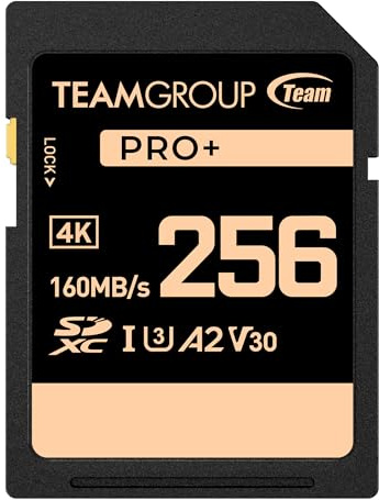 TEAMGROUP PRO 256GB UHS-I U3 A2 V30 4K UHD Read/Write Speed up to 160/120MB/s SDXC Memory Card for Professional Vloggers, Filmmakers, Photographers & Content Curators TPPSDX256GIA2V3001