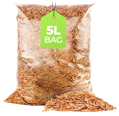 5L Bag) Mealworms for Wild Bird Food- Premium High Protein Dried mealworms for garden birds Treat, Natural Energy Boost for Hamsters, Robins Sparrows Parrots Clean Outdoor Feeding Nutritious Bird Feed