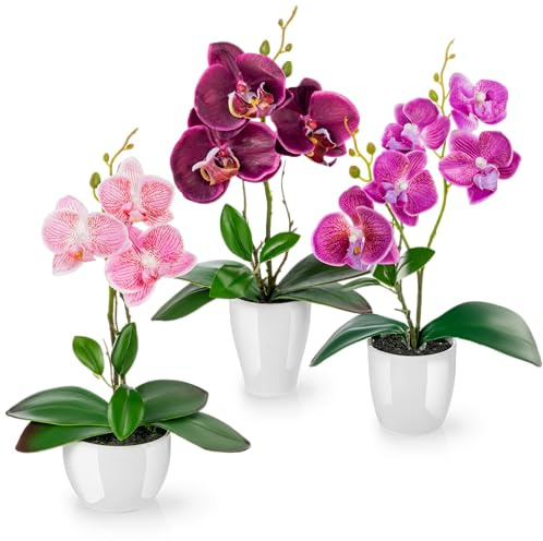 PASCH® Konstgjorda blommor i kruka (35 cm) – set med 3 orkidéer, konstgjort samordnat arrangemang i högglansiga keramikkrukor, dekorativa blommor, konstgjorda orkidéer (lila rosa)