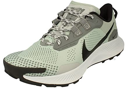 NIKE Pegasus Trail 3 Men's Trainers Sneakers Trail Running Shoes DV3035 (Dusty Sage/Smoke Grey/Light Smoke Grey/Black 001) UK12 (EU47.5)