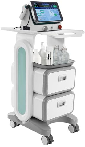 Chariot cosmétique avec 2 tiroirs, chariot de beauté sur roulettes, chariot professionnel jusqu'à 60 kg, chariot de travail pour salon de beauté, salon et esthétique
