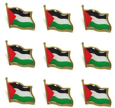 maiyixiang 9PCS Palestine Brooch Pin Palestinian National Flags Brooches for Suit Jacket Palestine National Enamel Lapel Badge Armband for Women Men