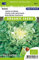 Endive Batavian, Broad leaved Nuance Vegetable Seeds per gram - Forms attractively Compact Heads - 0,4 g - Seeds per gram: +/-250