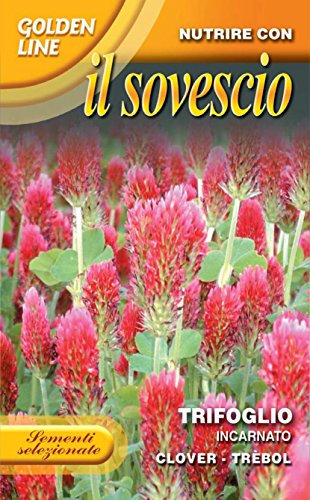 SEMENTI DI PIANTE DESTINATE AL SOVESCIO IN CONFEZIONE DA 100 GR (TRIFOGLIO INCARNATO)