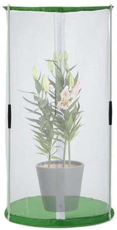 Butterfly Habitat – Recinto de insectos de 11.8 x 15.7 pulgadas, tienda de campaña plegable multifuncional con cremallera, casa de mariposas para observación de la naturaleza, criar proyectos