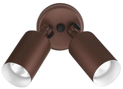 Outdoor Flood Light Fixture - Spot Lights Outdoor Security Light Fixture, Adjustable Double Cylinder Head, 100W, 120V, Weatherproof, Heavy-Duty Aluminum - Bronze Flood Light by NICOR Lighting