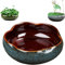Pot de Fleur de Bol de Lotus, Bol Rond de Lotus, Bol de lys d'eau Claire, Bol de Lotus cultivé dans l'eau intérieure, Plantes hydroponiques succulentes Florales sans Support (Bleu+m)