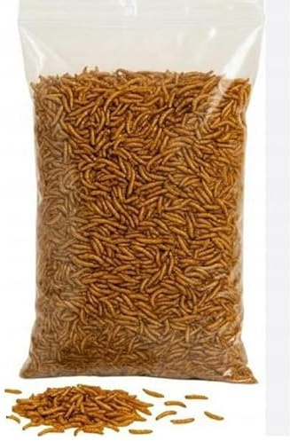 Torkade mjölmaskar för fåglar fisk reptiler sköldpaddsigelkott 1 kg