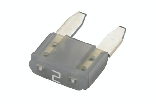 Hella Fusible - Fusible mini con conector plano - 2A - gris - Cant.: 5 - 8JS 728 596-861, 2A (gris)