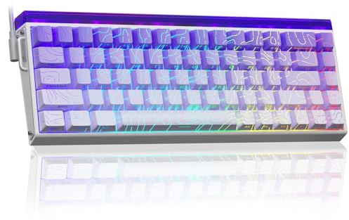 AULA Hero 68 Gaming Tastatur Mechanisch,Hall Effect Magnetic Switch,0.01mm Einstellbare Betätigung Rapid Trigger,8K Polling Rate,Seitlich Graviert,60% RGB Tastatur mit Kabel,QWERTY (Lila)