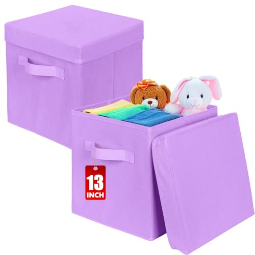 powerking Scatola di stoccaggio Bins, 2 pacchetto pieghevole tessuto stoccaggio cubo con coperchio, vestiti organizzatore cassetto per armadio e giocattoli stoccaggio, 33 x 33 x 33 cm,Lavanda