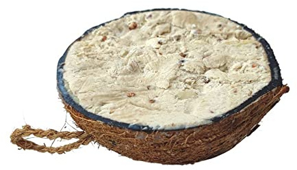 Snacks aux graines d'oiseaux Anneaux de mésanges à la Noix de Coco Bâtonnets de cacahuètes Nourriture errante (Noix de Coco cacahuète 1/2)