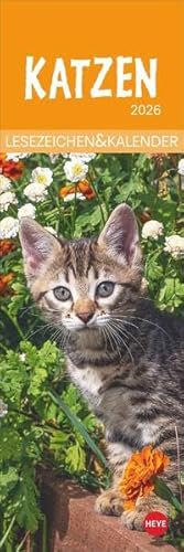 Katzen Lesezeichen & Kalender 2026: Süße Kätzchen in einem Mini-Kalender. Perfekt als kleine Aufmerksamkeit zu Weihnachten. Das Mitbringsel für ... Bücherwürmer! (Lesezeichen & Kalender Heye)