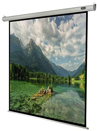 celexon Economy Motor-Leinwand 110 | 200x200 cm 1:1 | elektrische 4K,Full-HD Beamer-Leinwand für Büro-Präsentationen & Ihr Heimkino | zur Wand- und Deckenmontage | inkl. Fernbedienung