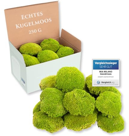 Mia Milano I Muschio Sferico Conservato Verde Chiaro I Muschio Naturale Islandese I Decorazione e Artigianato I 250 g