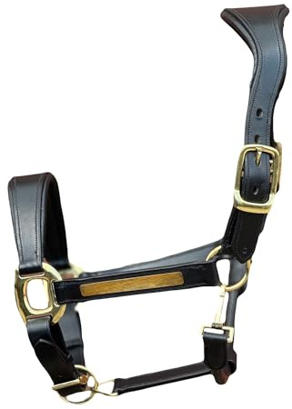 Equipride Anatomical Leather Headcollar, Supersoft Padded, Gold Fittings, Fully Adjustable (Black, Cob)