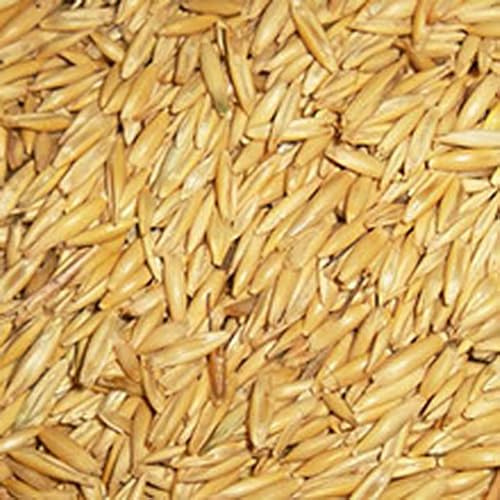 Avena para Animales de Granja. Caballos, Vacas, Aves de Corral, ovejas - Formato 20kg