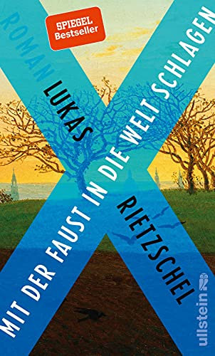 Mit der Faust in die Welt schlagen: Roman | Ein überzeugendes Porträt zweier Brüder ̶ Ein fulminantes und beeindruckendes Debüt