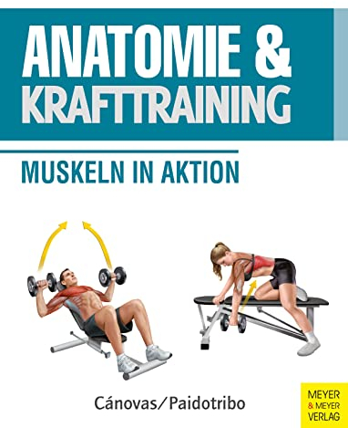 Anatomie und Krafttraining (Anatomie & Sport, Band 1): Muskeln in Aktion