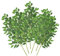 Bacucine 6 künstliche italienische Ruscus Stämme künstliche grüne Zweige künstliche Eukalyptus Pflanze Zweige grüne Blätter Hochzeit Bouquet Blume Tisch Party Centerpieces künstliche Pflanzen Dekor