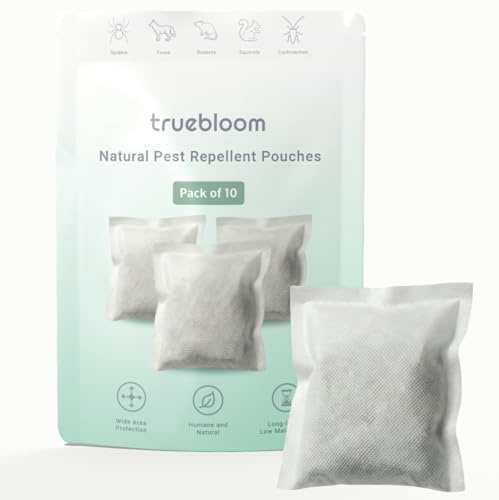 Ahuyentador de ratas con aceite de menta | Cubre 100 m² - Protección de 60 días - Repelente de roedores de origen vegetal para interiores y exteriores - Activado con menta y pimienta rosa (10 piezas)