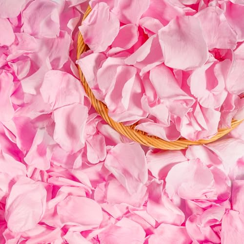 Miofula Petalos de Rosa Naturales Regalos San Valentin,Pétalos de Rosa Propuestas de Matrimonio y Compromiso,Flores Regalo Mujer Pareja Novia,Rosa Eterna Decoración Aniversario Boda Navidad Cumpleaños