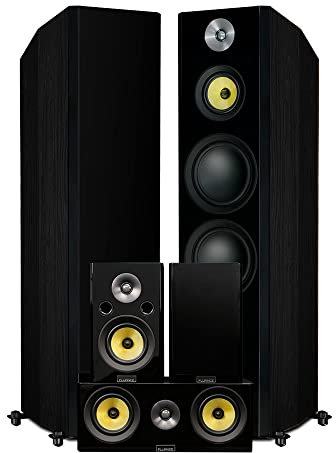 Fluance Signature HiFi Surround Sound Home Theater 5.0 Channel Speaker System including 3-Way Floorstanding Towers, Center Channel and Rear Surround Speakers - Black Ash (HFHTB)