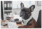 Cute French Bulldog Funny Jigsaw Puzzle Educational and Learning Puzzles, Finished Size 29.5 x 19.7