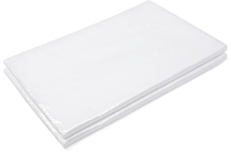 Lámina transparente para invernadero, lámina de plástico resistente al invierno, para túneles de tomate, para uso en túneles, invernaderos para el crecimiento de plantas (4 m x 10 m)