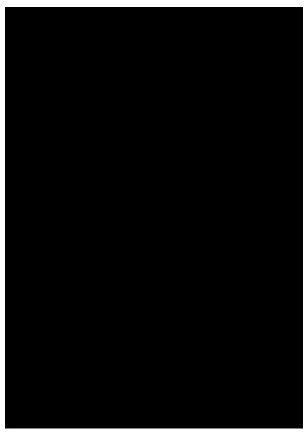Plexiglas® Zuschnitte - Platten - Acrylglas 3mm glänzend mit Schutzfolie, Farbe:Schwarz, Größe:DIN A4
